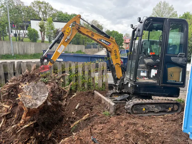SANY Minibagger bei Wurzelstockentfernung - Firma Welz